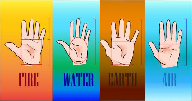 evertricks-palm-types